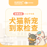 小红书专属-宁波犬猫新宠到家 新宠到家检查